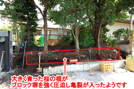 大きく育った桜の根がブロック塀を強く圧迫　神奈川県藤沢市Ａ様邸 広い庭、広すぎる庭のおすすめ造園活用方法　石張りで高級感ある上品な庭づくり　管理が楽な庭