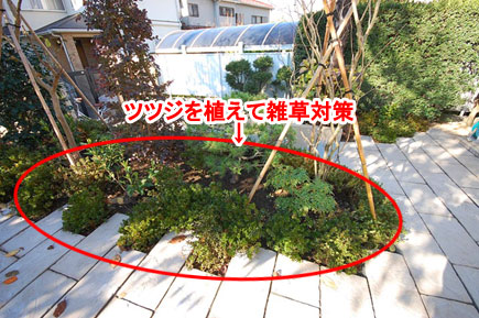 ツツジを植えて雑草対策　神奈川県藤沢市Ａ様邸 広い庭、広すぎる庭のおすすめ造園活用方法　石張りで高級感ある上品な庭づくり　管理が楽な庭