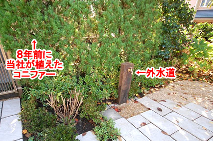 新しい庭ではきれいにおさまりました　神奈川県藤沢市Ａ様邸 広い庭、広すぎる庭のおすすめ造園活用方法　石張りで高級感ある上品な庭づくり　管理が楽な庭