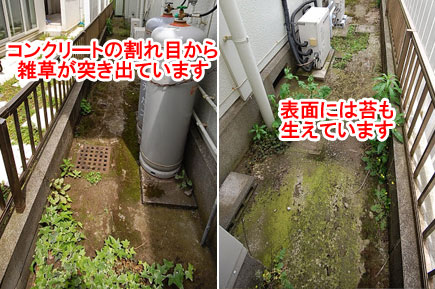 コンクリートの割れ目から雑草が突き出ています～相続した古い庭を空き家にせず、おしゃれなドッグランにリフォーム！管理の楽な庭に～神奈川県藤沢市の造園業者・外構業者
