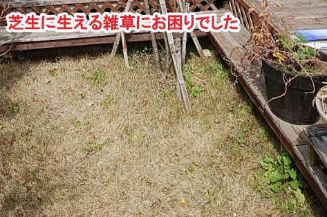 芝生に草が生え後悔　神奈川県藤沢市Ｔ様事例～芝生に草が生え後悔　神奈川県藤沢市Ｔ様事例　芝生の庭を後悔、芝生をやめたい。ウッドデッキで芝生の庭をリフォーム