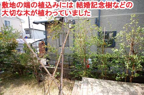 敷地の端の植込みには 結婚記念樹などの大切な木が植わっていました～神奈川県藤沢市Ｔ様事例　芝生の庭を後悔、芝生をやめたい。ウッドデッキで芝生の庭をリフォーム