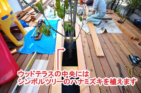 ウッドテラスの中央にはシンボルツリーのハナミズキを植えます～神奈川県藤沢市Ｔ様事例　芝生の庭を後悔、芝生をやめたい。ウッドデッキで芝生の庭をリフォーム