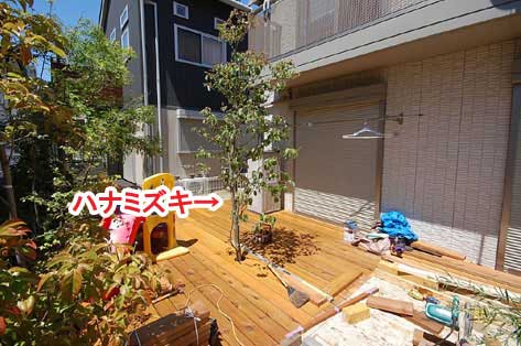 ハナミズキ～神奈川県藤沢市Ｔ様事例　芝生の庭を後悔、芝生をやめたい。ウッドデッキで芝生の庭をリフォーム