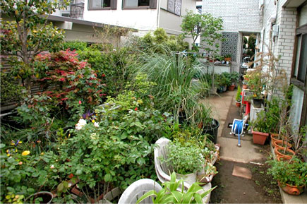 ご主人は花が大好き　レンガとジェラストーンの石張りデザインでおしゃれ・素敵な洋風ガーデン庭づくり～神奈川県茅ヶ崎市造園リフォーム