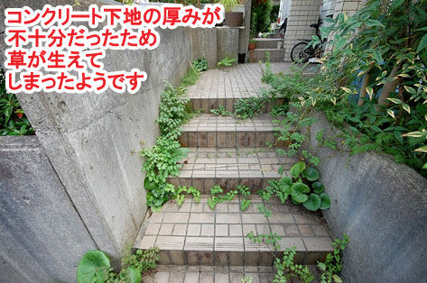 コンクリート下地の厚みが不十分だったため草が生えてしまったようです　神奈川県 横浜市 雑草対策 レンガ張り 造園、おしゃれな広いお庭 レイアウト