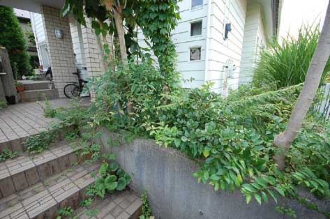 奥様が体調を崩してお庭の管理ができなくなった　神奈川県 横浜市 雑草対策 レンガ張り 造園、おしゃれな広いお庭 レイアウト