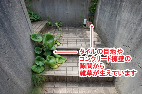 タイルの目地やコンクリート擁壁の隙間から雑草が生えています　神奈川県 横浜市 雑草対策 レンガ張り 造園、おしゃれな広いお庭 レイアウト