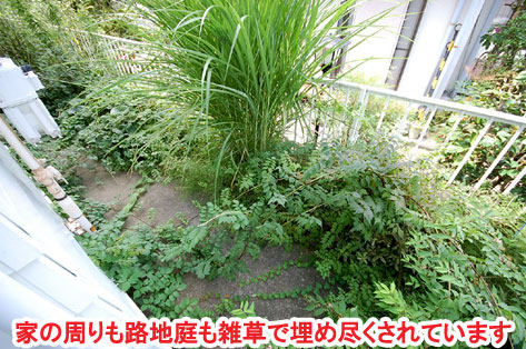 家の周りも路地庭も雑草で埋め尽くされています　神奈川県 横浜市 雑草対策 レンガ張り 造園、おしゃれな広いお庭 レイアウト