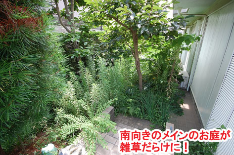 南向きのメインのお庭が雑草だらけに　神奈川県 横浜市 雑草対策 レンガ張り 造園、おしゃれな広いお庭 レイアウト