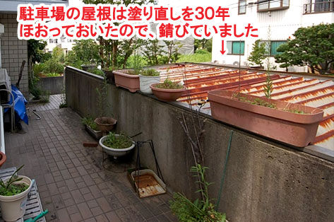 駐車場の屋根は塗り直しを３０年ほおっておいたので、錆びていました　神奈川県 横浜市 雑草対策 レンガ張り 造園、おしゃれな広いお庭 レイアウト