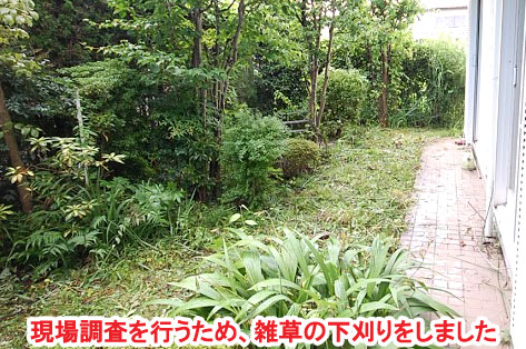 現場調査を行うため、雑草の下刈りをしました　神奈川県 横浜市 雑草対策 レンガ張り 造園、おしゃれな広いお庭 レイアウト